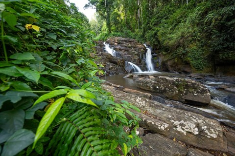 Derema Waterfall flows through thick vegetation, tropical rainforest in Amani Nature Forest