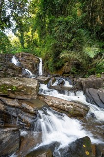 Derema Waterfall flows through thick vegetation, tropical rainforest in Amani Nature Forest