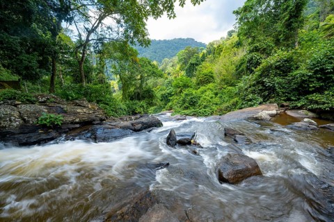 Waterfall flows through thick vegetation, tropical rainforest in Amani Nature Forest Reserve, long