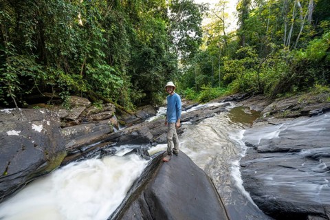Tourist at Derema Waterfall flows through dense vegetation, tropical rainforest in Amani Nature