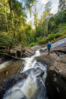 Tourist at Derema Waterfall, flowing through thick vegetation, tropical rainforest in Amani Nature
