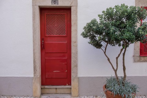 Red door in white house wall next to a pot with a green plant, Ericeira, Portugal