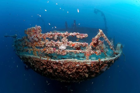 Rosalie Moller wreck, shipwreck, British, stern, sunk in World War II on 08.10, 1941 by two German