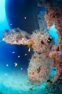 Rosalie Moller wreck, shipwreck, propeller, propeller, British, sunk in World War II on 08.10, 1941