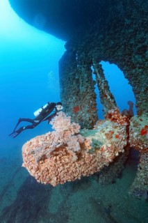 Diver, diver looking at large propeller, huge, propeller, crusted, overgrown, vegetation, rudder,