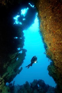 Diver, diver from cave entrance, coral reef, Gubal Island, Hurghada, Red Sea, Egypt