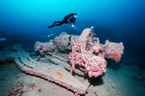 Diver, diver looking at Ankewinde, Rosalie Moller wreck, shipwreck, British, sunk in World War II