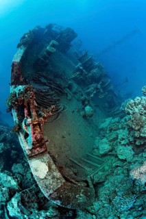 Bow in the coral reef of MS Khanka, also known as Russian wreck, named SSV (Sudno Svyazyy) on the