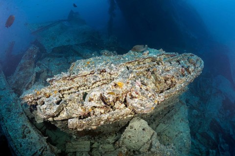 Small infantry fighting vehicle, Vickers Bren Gun Carrier, British, shipwreck, steamship SS