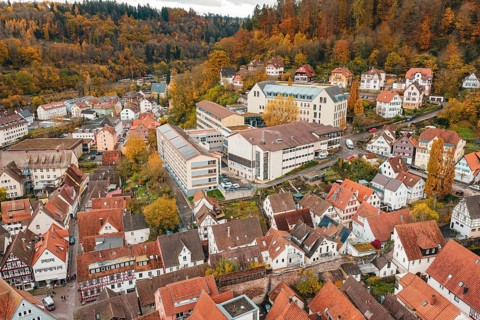 Overview of a town with half-timbered houses and modern buildings in an autumn mountain landscape,