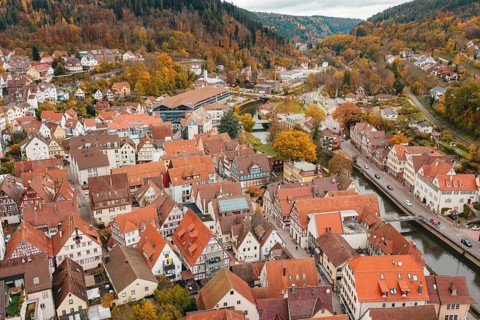 Panoramic urban view with half-timbered houses and autumnal forests in the background, Calw, Black