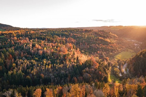 Sunlight floods a hilly forest landscape in autumn, Calw, Black Forest, Germany