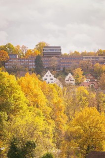 Autumn picture with colorful leaves, houses and cloudy sky, Calw, Black Forest, Germany