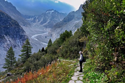 Female hiker on mountain trail in autumn-colored surroundings with the Mer de Glace glacier,