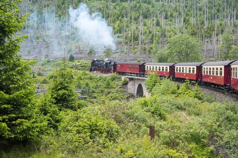 A steaming locomotive of the historic Brocken Railway with several wagons travels from Drei Annen