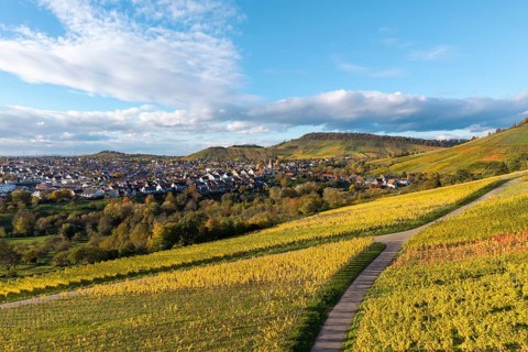 Vineyards with a path leading to a village surrounded by hills and clouds, autumn,