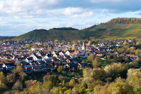 View of a village with church between vineyards and hills under a cloudy sky, autumn,