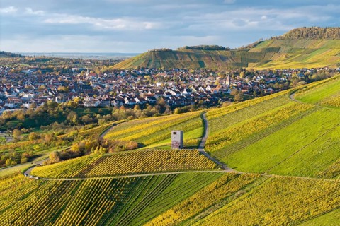 Village with surrounding hills and vineyards, a distinctive building in the middle of the fields,