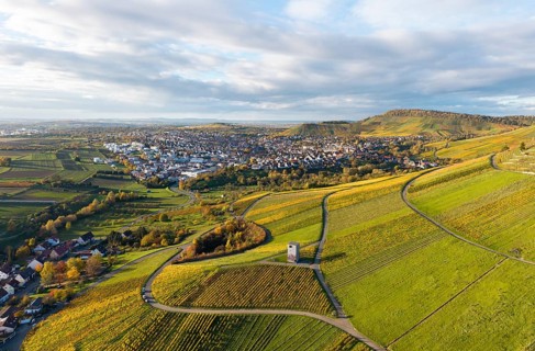 Aerial view of a village surrounded by vineyards and hills under a cloudy sky, observation tower,