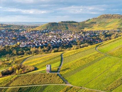 Hilly landscape with vineyards and village, highlighted by a distinctive building, observation