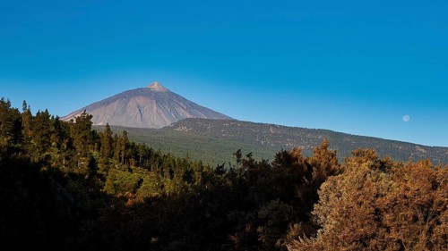 Teide, Orotava Valley, volcano in the background, surrounded by thick forests and a visible moon in