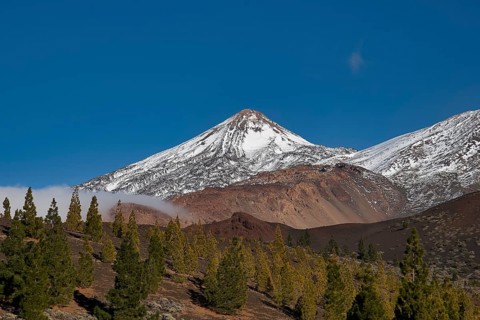 Snow-capped Teide volcano with surrounding forest and blue sky, UNESCO World Heritage Site, Teide