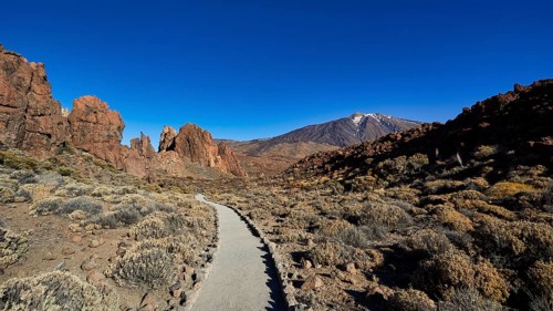 Trail through rocky volcanic landscape under clear blue sky, UNESCO World Heritage Site, Teide