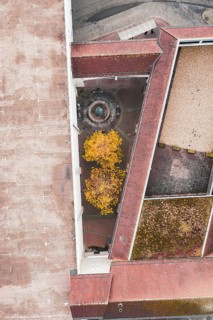 Aerial view of a courtyard with a fountain and yellow trees, surrounded by a large building with a