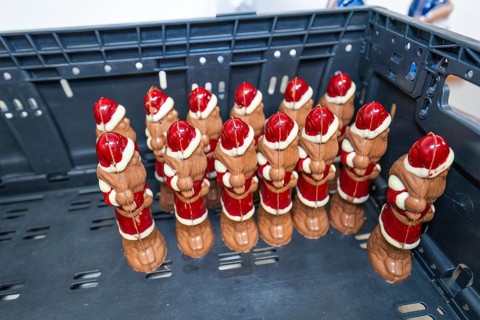 Several red and white chocolate Santa Claus figures on a plastic pallet, Christmas baking,