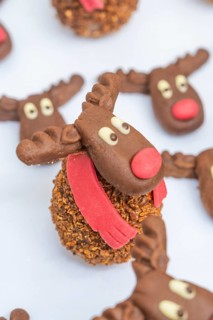 Reindeer shaped chocolate cookie with red nose and white background, Christmas baking, Haselstaller