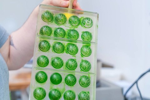 A tray of green chocolate chocolates in round shapes, Christmas baking, Haselstaller Hof, Wildberg,