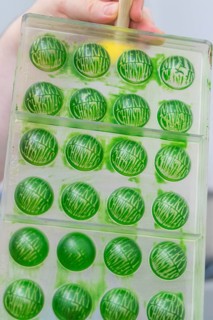 Green chocolate mold with the text 'Merry Christmas' in a chocolate workshop, Weihnachtsbacken,