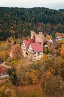 A castle with red tiled roofs surrounded by autumn-colored trees and small houses, Berneck Castle,