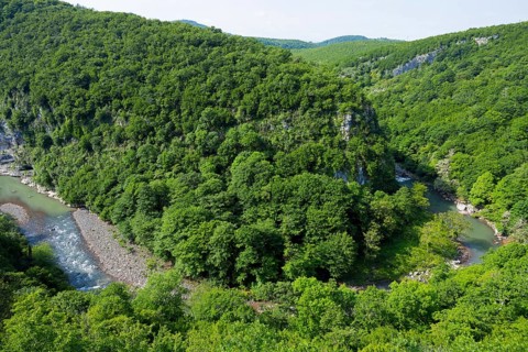 Lush green forest landscape by a river surrounded by hills, view of the Zkalzitela River from