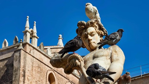 Marble sculpture with doves under a blue sky, in the background historic baroque style building,