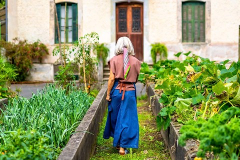 Senior woman in blue apron walks between raised beds of lush vegetables in her backyard, tending