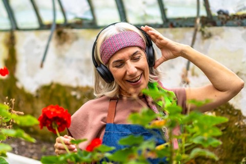 Senior woman with gray hair wearing headphones, smiling and dancing while tending vibrant red