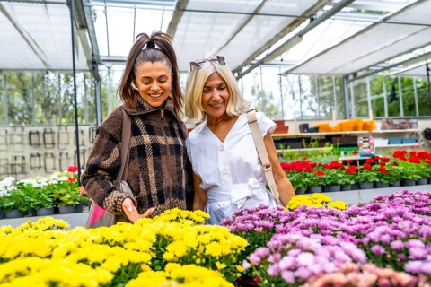 Happy mother and adult daughter enjoying choosing colorful blooming flowers together, bonding and