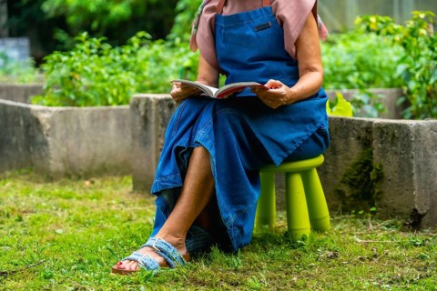 Senior woman in an apron seated on a small stool in her sunny home garden, calmly reading a book