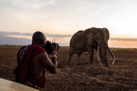 Maasai man photographed, African elephant (Loxodonta africana), the famous Super Tusker elephant