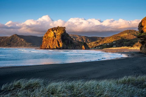 Landscape in New Zealand with sea and sandy beach. Piha Beach and Lion Rock. People on the beach,