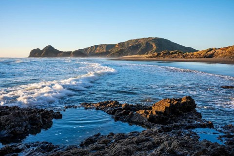 Landscape in New Zealand with sea and sandy beach. Bethells Beach (Te Henga), evening, golden hour.