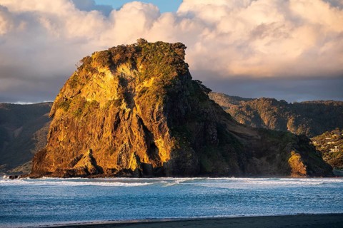 Landscape in New Zealand with sea and beach. Piha Beach and Lion Rock. In the evening, golden hour.