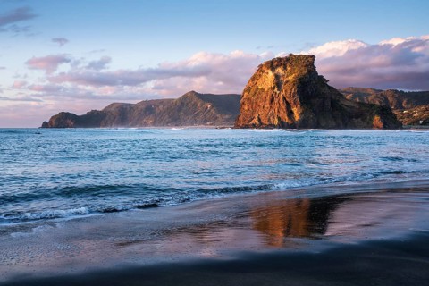 Landscape in New Zealand with sea and sandy beach. Piha Beach and Lion Rock. Surfers in water.