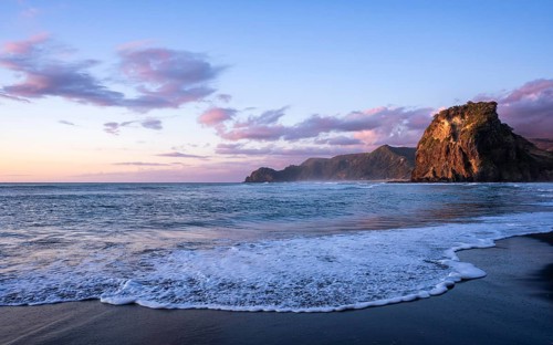 Landscape in New Zealand with sea and sandy beach. Piha Beach and Lion Rock. sunset. Piha,