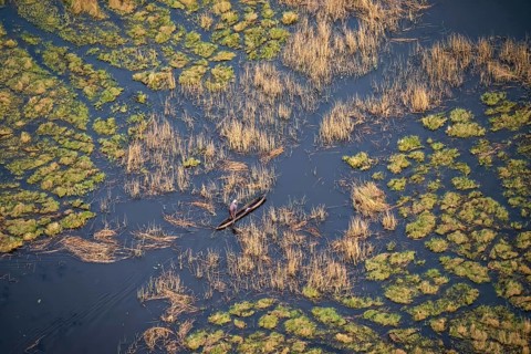 Marshland, marshland, Kavango fishermen with dugout boat, Mokoro, aerial view, Okavango Delta,