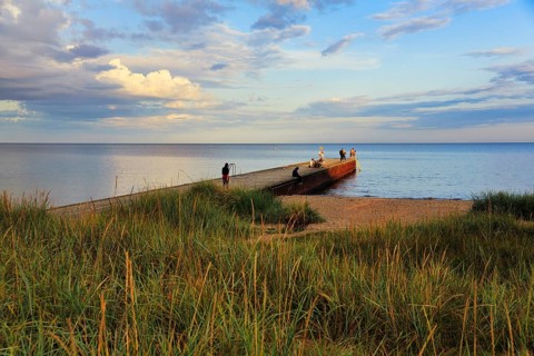 Coastline with beach, grasses on the shore, bathers at the jetty, summer in Ystad, evening sun,