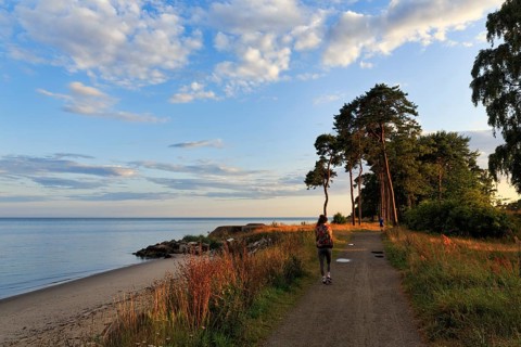 Coastal landscape with beach and hiking trail along the shore, summer walkers, pine trees, sunset,