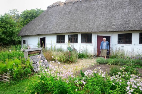 Half timbered house with thatched roof by older kitchen garden in Den gamle by, The old village,