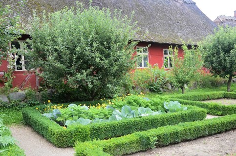 Half-timbered red house with thatched roof by an older kitchen garden with boxwood hedges in Den